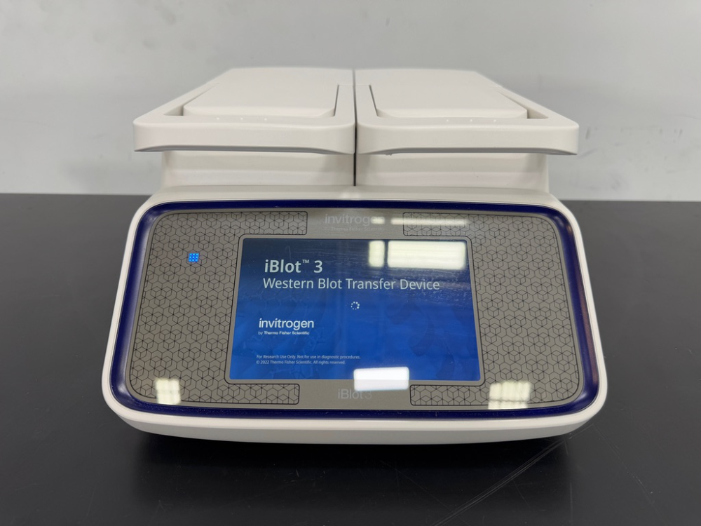 Image of Invitrogen iBlot 3 Western Blot Transfer Device